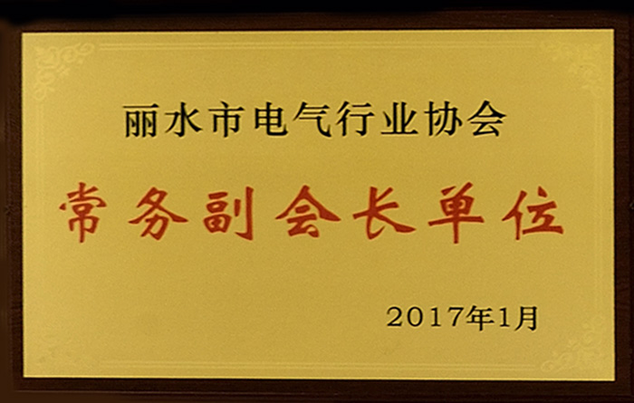 2017年麗水市電氣行業常務副會長單位