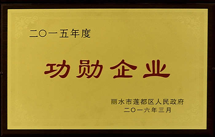 2015年功勛企業