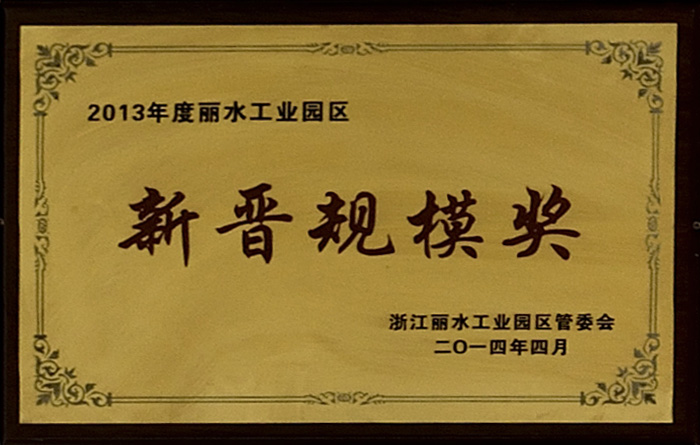 2013年麗水工業園區新晉規模獎